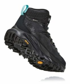 Funkwear.shop0b2e677a44 3