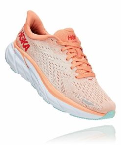 Funkwear.shop1ca87d81d1 1