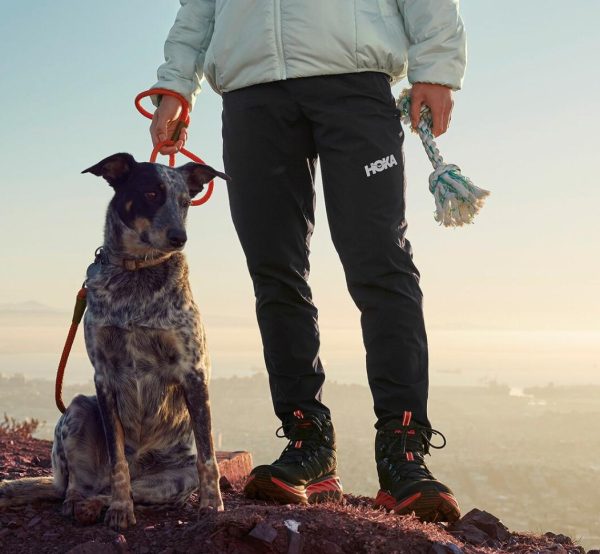 Funkwear.shop2bea9a7538 2