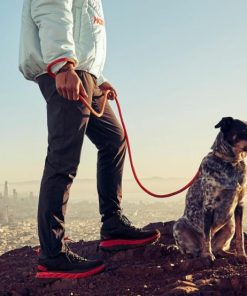 Funkwear.shop2bea9a7538 3