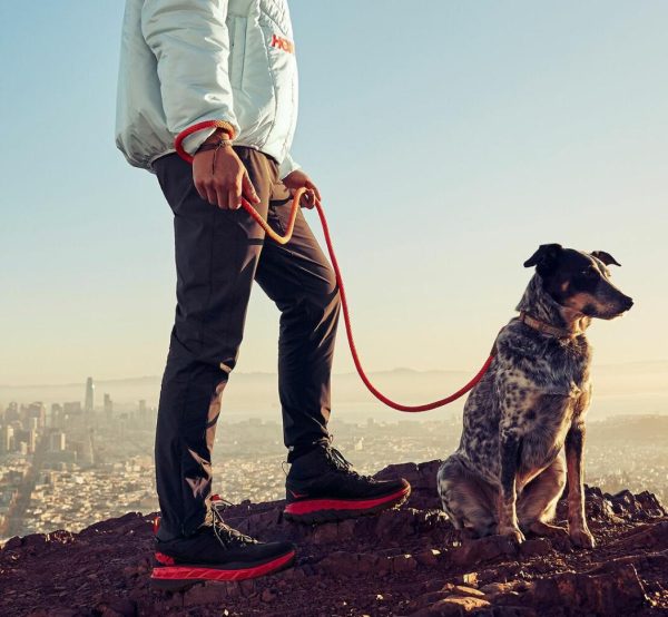 Funkwear.shop2bea9a7538 3