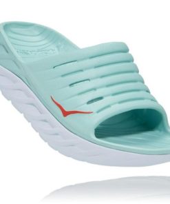 Funkwear.shop3ecc50e890 1