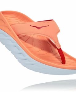 Funkwear.shop45cdfcdc32 1