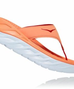 Funkwear.shop45cdfcdc32 2