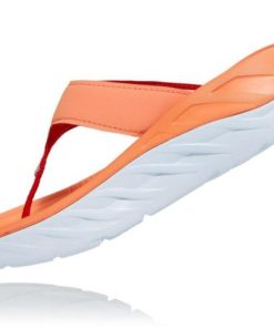 Funkwear.shop45cdfcdc32 4