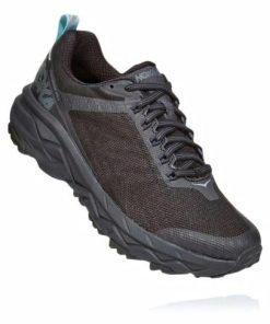 Funkwear.shop580905ab9a 1