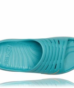 Funkwear.shop71d73280a4 1