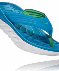 Funkwear.shop7a8ae44619 1