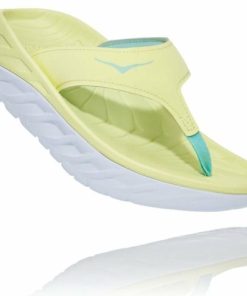 Funkwear.shop886e8a2eae 1