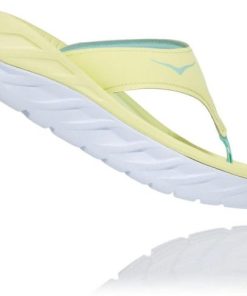 Funkwear.shop886e8a2eae 2