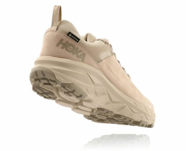 Funkwear.shop8b43bef0e1 3