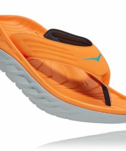 Funkwear.shopc6e10b9bec 1