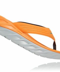 Funkwear.shopc6e10b9bec 2